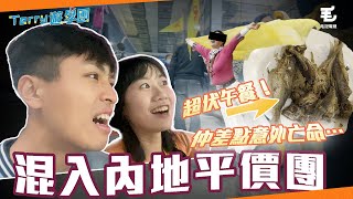 混入$409內地平價團！差點遭遇亡命意外⋯？ 22/4《Terry遊學團》 兩日一夜平價團全體驗