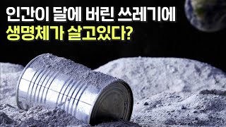 달에 50년 동안 버려진 쓰레기 속의 생명체가 정말 살아있을까?