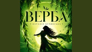 Верба