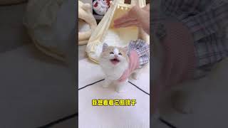 【小奶貓成長記】沒想到第一次照鏡子是這種反應