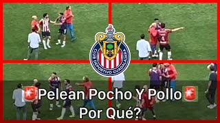 🚨Noticias chivas | Por qué PELEARON POLLO Y POCHO? ACÁ TE LO EXPLICO | chivas hoy