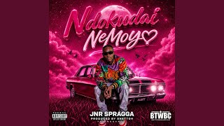 Ndokudai NeMoyo