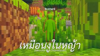 ผมเนียนเหมือนงูในหญ้า (Meccha Chameleon)