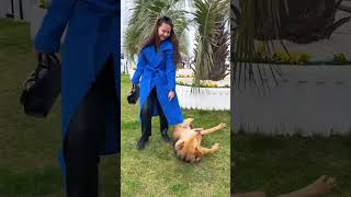 ЧАПИ НЕ ЛЮБИТ КОШЕК?😨🐾