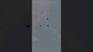 Безумный прыжок без парашюта