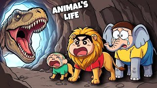 Shinchan Living Animals Life Age 1 To Age 100 😃