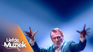 DAAN - ‘Metejoor’ | Liefde voor Muziek | seizoen 9 | VTM