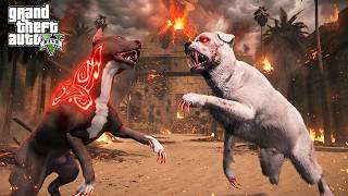 TERMİNATÖR EN BÜYÜK RAKİBİ BEYAZ ÖLÜM'LE DÖVÜŞÜYOR! - GTA 5 PİTBULL'UN HAYATI