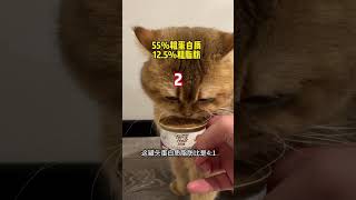 【PuPu噗噗】我家猫，离异带仨娃