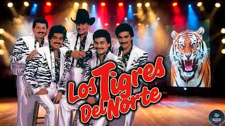 LOS TIGRES DEL NORTE Puras Canciones Perronas 🔥 Éxitos Legendarios